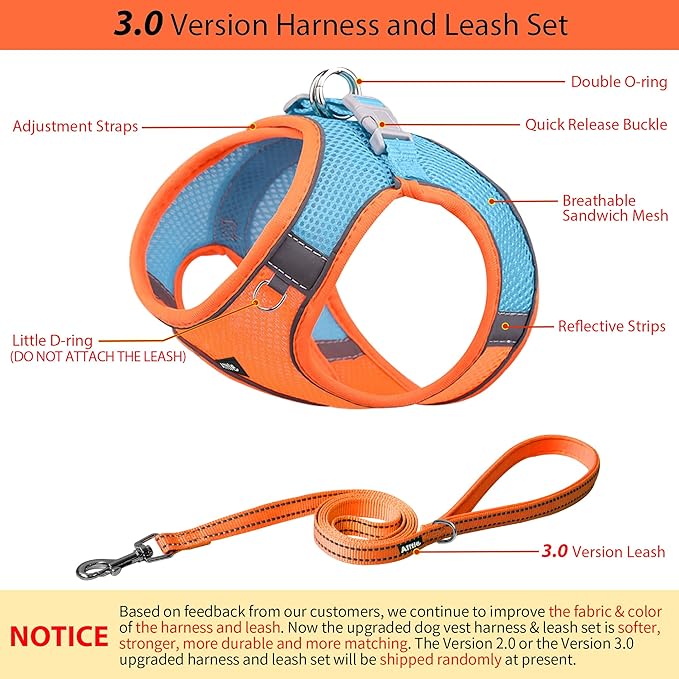 AIITLE Small Harness for Puppy with A Leash - Summer Dog Vest Harness with Super Breathable Mesh, Reflective No-Pull Pet Harness for Outdoor Walking, Camping for Small Dogs, Cats Orange XXS