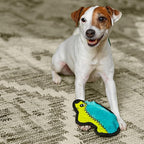 Outward Hound Durablez Minis Stuffing-Free Squeaky Plush Dog Toy for Puppies & Small Dogs - Interactive, Soft Yet Tough, No Mess, Jumbo Squeaker, Long-Lasting Play, Hedgehog