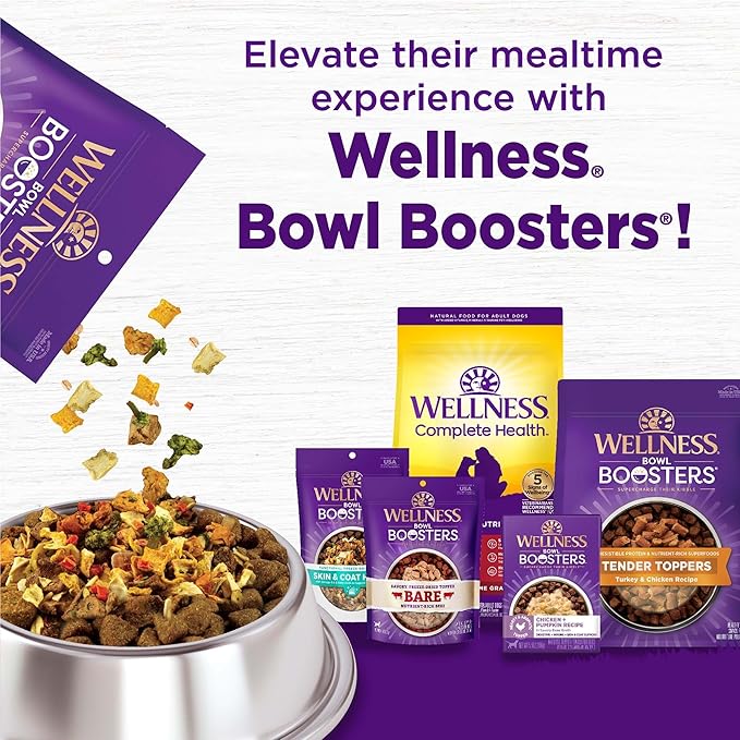 Wellness Complete Health Dry Dog Food, Wholesome Grains, Natural, Beef & Barley Recipe, (26-Pound Bag)