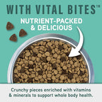 Natural Balance Specialized Nutrition Dry Dog Food with Chicken and Oatmeal for Dogs, Small Breed Digestive & Joint Health, Natural Ingredients with Added Vitamins & Minerals - 12 lbs