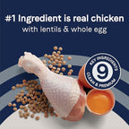 Canidae Pure Limited Ingredient Premium Puppy Dry Dog Food, Real Chicken, Lentil & Whole Egg Recipe, 12 lbs, Grain Free