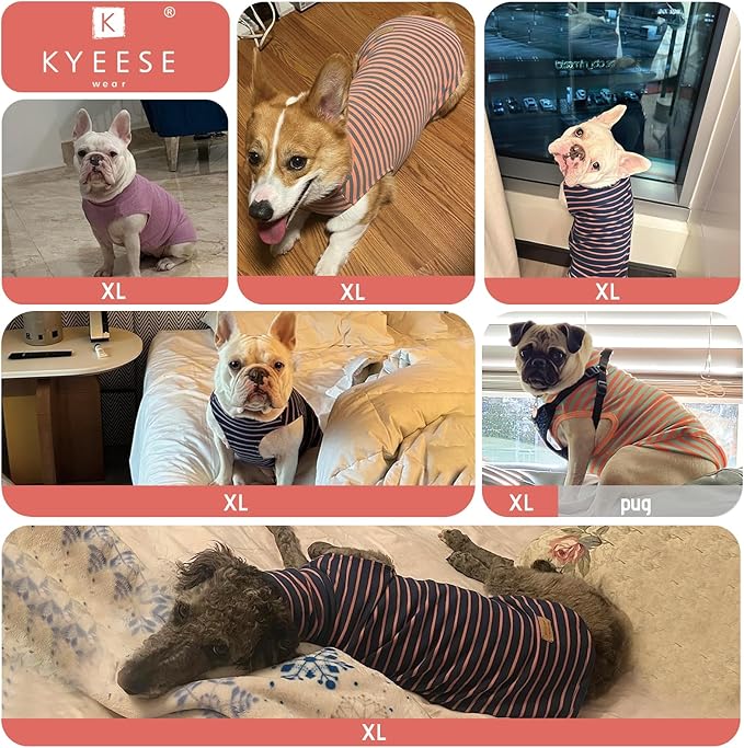 KYEESE 2Pack Dog Sweater Warm Pet Coats Pullover Dog Sweaters for Small Dogs Male Stretchy Dachshund Clothes Soft Pet Sweatshirt Turtleneck Dogs Clothes