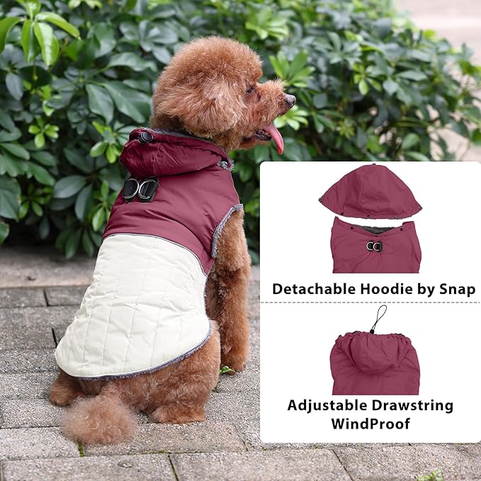 Detachable Hooded Dog Coat with Harness for Small Dogs,Super Warm Fleece Puppy Jacket for Cold Winter Doggie Coats,Red M