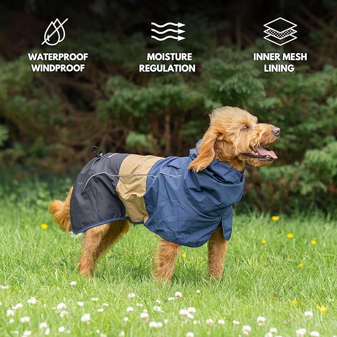 Spark Paws Dog Raincoat, Waterproof Windproof Rain Jacket, for Small Medium Large Extra Large Dogs, Reflective Breathable Full-Body Coverage Dry Suit - Blue Gold Black - L