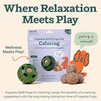 WOOF Pupsicle Calming Starter Kit - Pupsicle and Calming Pops Bundle - Long-Lasting Interactive Dog Toy - 10 Refills with Thiamine, Tryptophan, Passion Flower for Medium and Large Dogs 25-75 lbs
