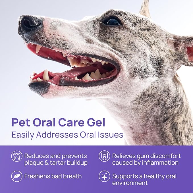 HICC PET Teeth Cleaning Gel for Dogs and Cats, Vet-Recommended Dog Dental Care Toothpaste Alternative for Breath Freshener, Ggingivitis Treatment, Prevent Infection, Plaque & Tartar Remover, 2 Fl Oz