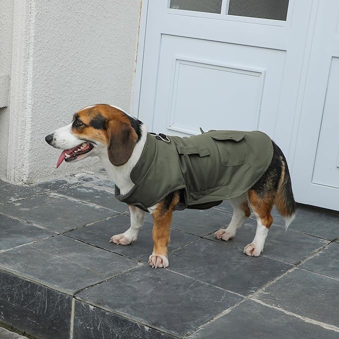 Workwear Style Dog Coats with Harness Built in for Small Dogs Windproof Warm Puppy Jacket with Storage Pockets for Cold Winter,Green XL