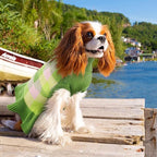 Dog Sweater Dress Plaid Knitwear for Small Medium Dogs Warm Puppy Pet Turtleneck Stretch Pullover Cute Fall Winter Vest Clothes with Leash Hole for Christmas (Green, L)