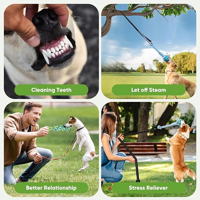 Dog Bungee Toy for Small/Puppies Dogs,Interactive Dog Tug of War Toys Set with Tether, Rope and Ball, Tree Hanging Toy with 2 Chew Ropes,Indoor Spring Pole Ropes,Not for Aggressive Chewers