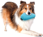 Playology Dog Toys | Plush Toy Crinkle Egg for Dogs | Jumbo Peanut Butter Scented Toy - Easy to Clean and Made from Non Toxic Materials