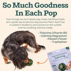 WOOF Pupsicle Refill Pops for Calming - Long-Lasting Refills for The Pupsicle Toy to Promote Calm - Calming Dog Treats - Magnesium for Dogs- Small Pops - 10 Count