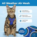 Voyager Escape Proof Cat Harness and Leash Set with Reflective Stitching, Neoprene Handle 5ft - Supports Small, Medium and Large Cats, Kittens for Walking by Best Pet Supplies - BT-Royal Blue, S