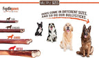 FOODIEPAWS 12 Inch Bully Sticks for Dogs, 5 Pack | All Natural, Grass-Fed Beef Pizzle | Rawhide-Free & Odor-Free Dog Chews | Fully Digestible, Long Lasting Treats for Medium & Large Dogs