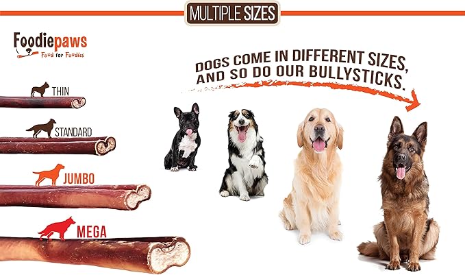 FOODIEPAWS 6 Inch Bully Sticks for Dogs, 10 Pack | All Natural, Grass-Fed Beef Pizzle | Single Ingredient, Rawhide-Free & Fully Digestible Dog Chews | Odor-Free, Long Lasting Treats for All Breeds