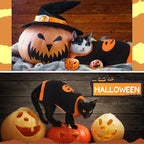 Sanwuta 3 Pieces Halloween Thanksgiving Christmas Dog Sweaters Sets Pumpkin Turkey Santa Puppy Dog Clothes Pet Knitwear for Dog Cat Pet Costume(Large)