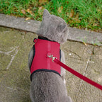 PUPTECK Soft Mesh Cat Vest Harness and Leash Set Puppy Padded Pet Harnesses Escape Proof for Cats Small Dogs, Red Small