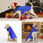 Dog Winter Coat, Waterproof Dog Jacket with Leash Hole, Reflective Adjustable Pet Snow Vest, Warm Fleece Sweater for Small Medium Large Dogs - Blue, L