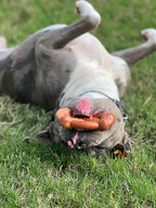 Nylabone Pretzel Power Chew Toy for Dogs, Dog Toys for Aggressive Chewers, Bacon & Peanut Butter Flavor, X-Large Dogs - 50+ lbs, 1 Count