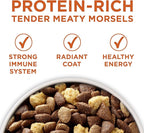 Purina ONE Plus Healthy Weight High-Protein Dog Food Dry Formula - 8 lb. Bag
