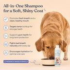 Pawfy Dog Breath Freshener with Specialized Dental Care Formula | Dog Teeth Cleaning & Mouthwash | Helps Freshen Dogs Breath with Easy Water Additive | Supports Plaque and Tartar Control