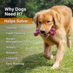 Apasiri Dog Toys for Aggressive Chewers Peanut Butter Flavored: 3-Pack Dog Bones for Large Dogs, 8" Chew Toys Long-Lasting, Tough Nylon & Rubber Dogs Toys
