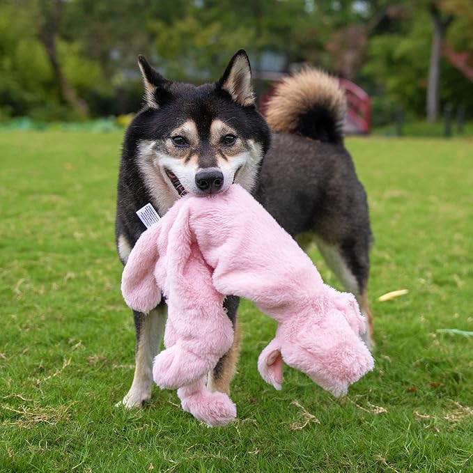 Best Pet Supplies Squeaky Dog Toys with Soft Durable Fabric for Small, Medium and Large Pets Interactive Toy for Indoor Play, Supports Active Biting and Play - 1Wild Duck, Pig, Medium