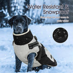 IECOii Dog Winter Coat Waterproof - Black, Medium - Dog Coat with Harness Built in for Medium Dogs, Thermal Warm Fleece Lined with Zip Up Cold Weather Jacket, Reflective Snowsuit for Outdoor Hiking