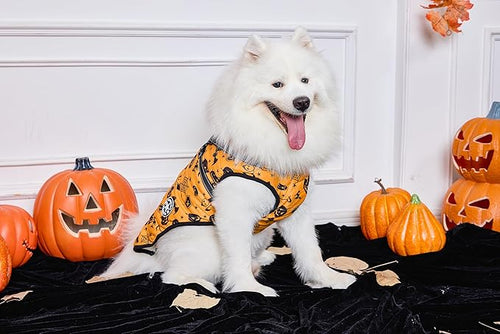 Aiboria Dog Jackets Windproof Outfit Coat Dog Vest Harness Puppy Warm Jacket Halloween Orange XXL