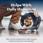 Blue Buffalo Wilderness Natural High-Protein Grain-Free Wet Food for Adult Cats, Salmon Paté, 3-oz. Cans, 24 Count