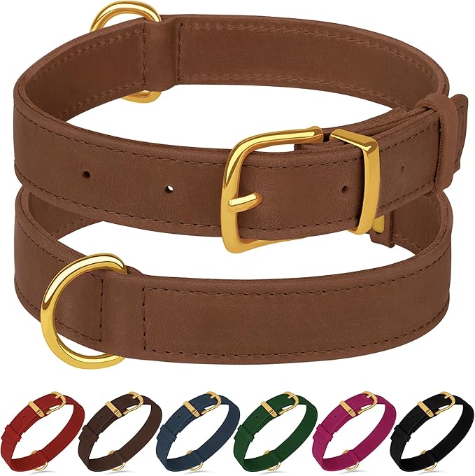 Leather Dog Collar - Heavy Duty Adjustable Soft Padded Pet Collars for Small Medium Large Dogs Breed - Black Green Brown Pink Red Blue (Cognac, S, 9"-12" Neck Fit)