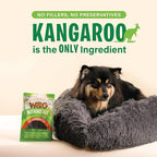 W&G Air Dried Kangaroo Liver, All Natural Low Fat Dog Treats Chews, Single Ingredient Jerky, Healthy Hypoallergenic Alternative for Training Rewards, Easy to Break, 5oz