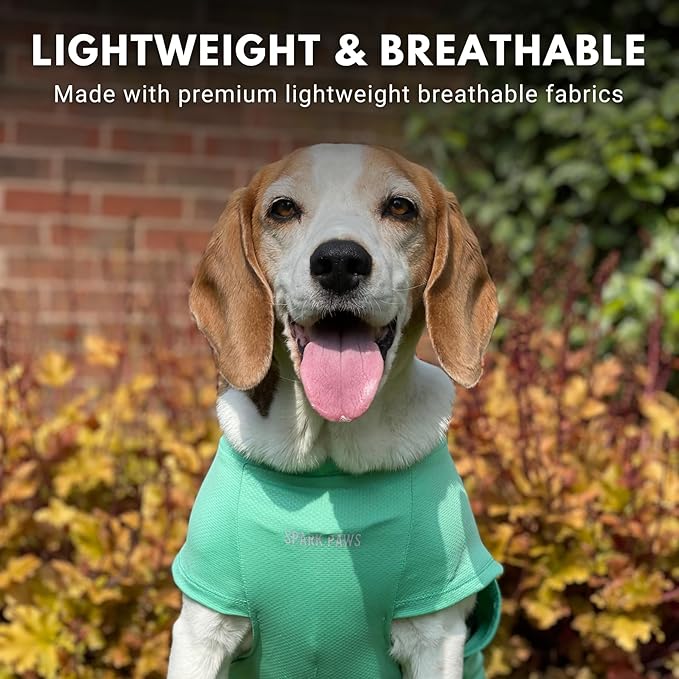 Spark Paws Sunblock Dog T-Shirt, SPF30 Protection, Lightweight Breathable Quick Dry for Dogs with Sensitive Skin - Blue & Mint (Set of 2) - 2XL