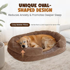 Orthopedic Dog Bed for Extra Large Dogs – XL Size 48"x36" Washable Bolster Couch, Extra-Thick 3.6" Foam Oval Pad Fits Dog Curve, Washable Removable Calming Plush Cover, Cozy Pet Sofa Bed