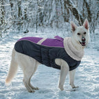 Queenmore Waterproof Dog Coat for Small Dogs,Reflective Windproof Dog Jackets with Leash Hole,Winter Dogs Coat with Zipper On Back,Warm Snowsuit with Fleece Lining（Purple,S