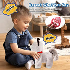 Walking Cat Set Interactive Talking Toy Kitten Repeat What You Say Robot Cat Toy for Girl Singing Dancing Touch Control with Leash Wagging Tail Nodding Plush Electric Ragdoll Kitty for Kid