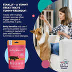 Onward Hound Training Treats for Dogs - Soft Salmon - Low Calorie Dog Training Treats for Sensitive Stomachs with Single Source Premium Protein, Corn Free, & Soy Free Formula - 4 oz