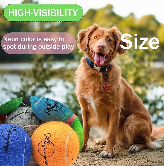 Magicorange 20 Pack Dog Tennis Balls, Tennis Balls for Dogs,Pet Ball Come with Mesh Bag for Easy Transport, Colorful Easy Catching Pet Dog Balls(Multi-Color, 20 Pack)