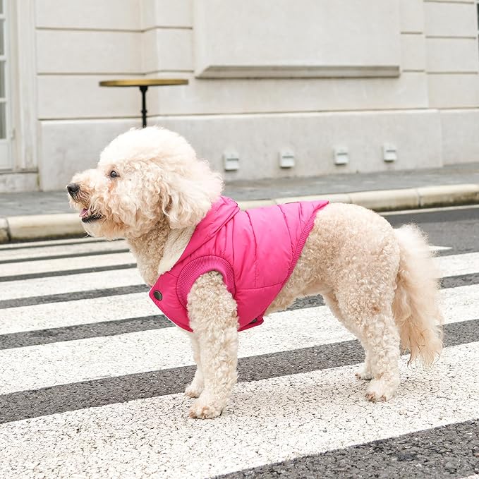 Fleece Lining Extra Warm Dog Hoodie in Winter for Small Dogs Jacket Puppy Coats with Hooded Pink M