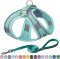AIITLE Small Harness for Puppy with A Leash - Summer Dog Vest Harness with Super Breathable Mesh, Reflective No-Pull Pet Harness for Outdoor Walking, Camping for Small Dogs, Cats Pure Turquoise XXS