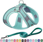 AIITLE Comfortable Dog Harness and Leash Set for Walking - Summer Step in Vest Harness,Reflective Bands, Adjustable No Pull Puppy Essentials, for Small Dogs and House Cats Pure Turquoise XS