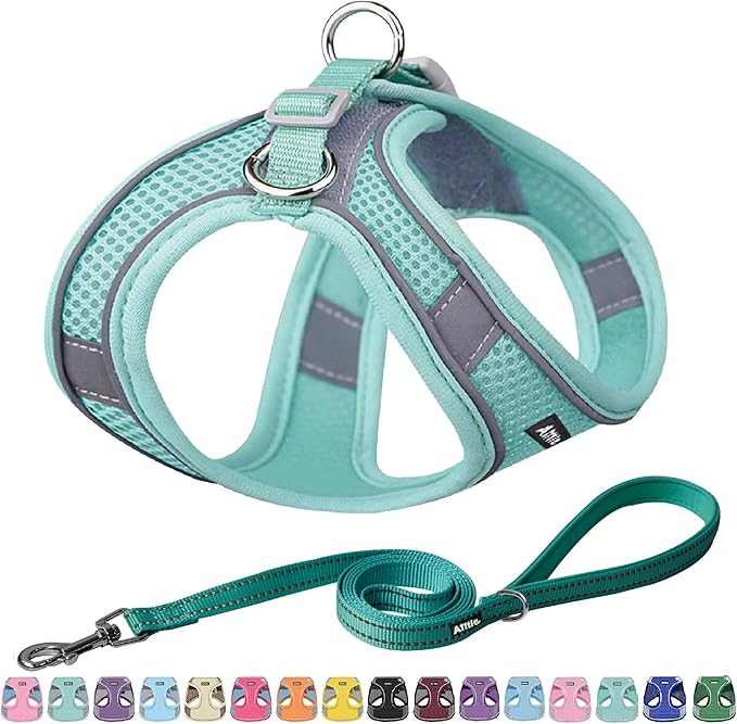 AIITLE Step in Dog Harness and Leash Set - Summer No Pull Escape Proof Vest Harnesses with Soft Mesh and Reflective Bands, Adjustable Pet Outdoor Harnesses for Small and Medium Dogs Pure Turquoise M
