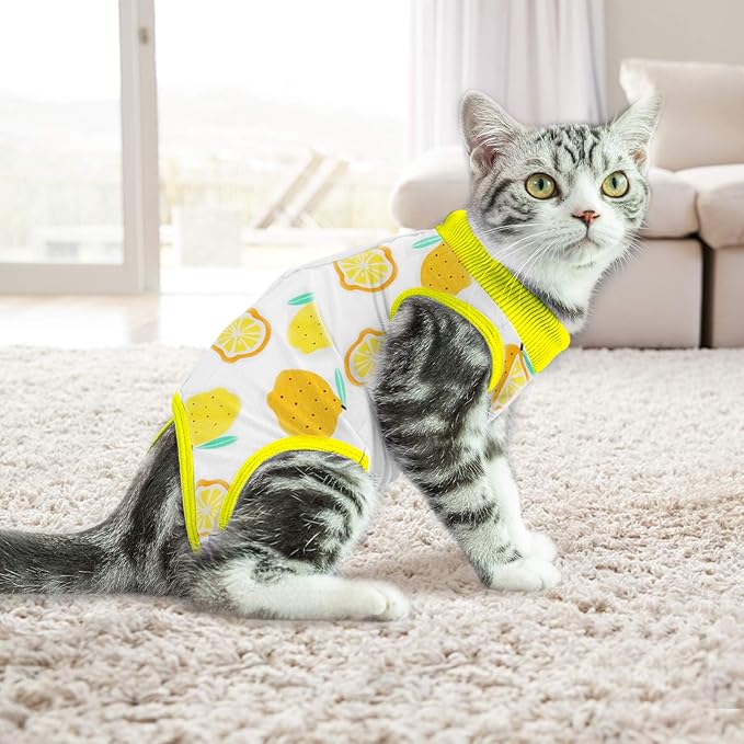 Cat Professional Surgical Recovery Suit,E-Collar Alternative for Cats Dogs,After Surgery Wear, Pajama Suit,Home Indoor Pets Clothing (M (6-8 1bs), Lemon)