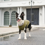 Warm Fleece Dog Coats with Durable Harness Buitl in D-Ring,Waterproof Doggie Jacket for Large Dogs,Dog Vest for Cold Winter,Green XXXL