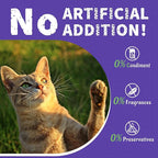 Just Try 16 OZ Blueberry Cat Treats for Indoor Cats, Gluten Free, Low-Calorie Healthy Cat Snacks, Plant-Based Fiber-Rich Natural Chicken Flavor Training Treats