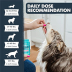 Mighty Paw Waggables Allergy Immune + Itch (Made in The USA) 2 Pack -Dog Chews Anti-Itch for Dogs. Allergy Support Vitamins for Skin and Coat Allergies. Omega 3 & Quercetin for Pets 240 Ct