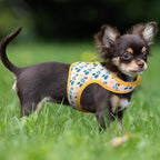 Mile High Life Dog Harness, Air Mesh Floral Vest Harness for 20 lbs Small Dogs & Cats, Easy Get on Adjustable Easy Closures Both Neck and Chest(Yellow Flower, S Chest 16"-18")