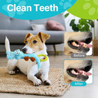 Prime Pets Dog Squeaky Toy, 2 Pack, Tug of War Dog Toys for Small Medium Large Dogs, Interactive Plush Puppy Chew Toy
