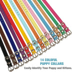 Puppy Collars for Litter - 12 Color Adjustable ID Collar Identification Leather Small Dog Collars for Puppy Medium Large Breed Dogs (M(Neck:11.5"~14.5"))