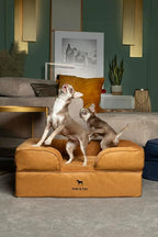 NOAH & PAW Dog Bed, 28x23x11 Inch, Orthopedic Dog Beds for Medium Size Pets, Eggshell Memory Foam Infused with Cooling Gel, Inner Cover, Waterproof, Machine Washable (Faux Leather Sofa Collection)