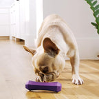 Playology Dog Toys | Durable Squeaky Chew Stick for Dogs | Medium Bacon Scented Toy - Easy to Clean and Made from Non Toxic Materials